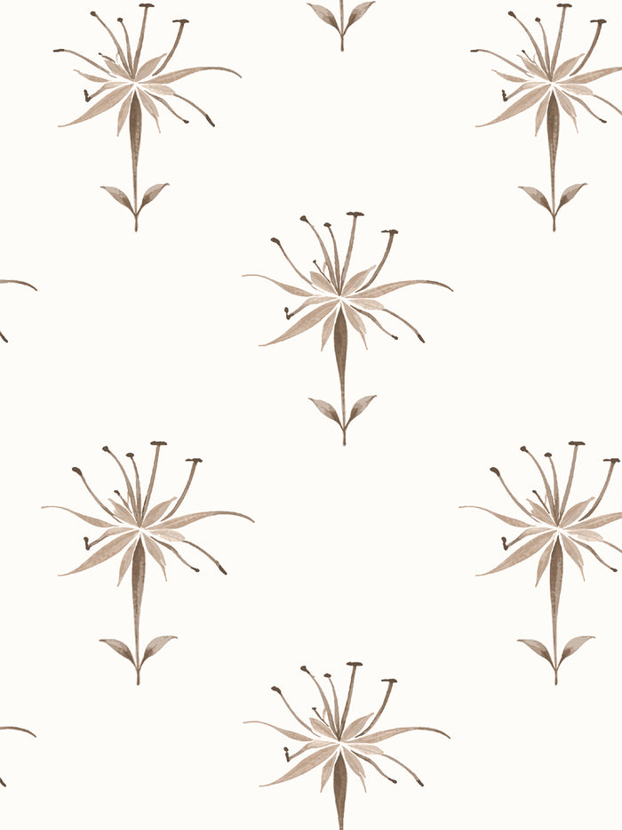 'Spider Lily Macro' Wallpaper by Flint Wood & Hicks - Brown