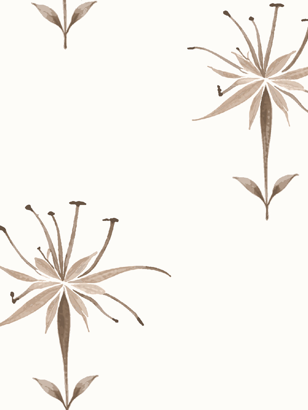 'Spider Lily Macro' Wallpaper by Flint Wood & Hicks - Brown