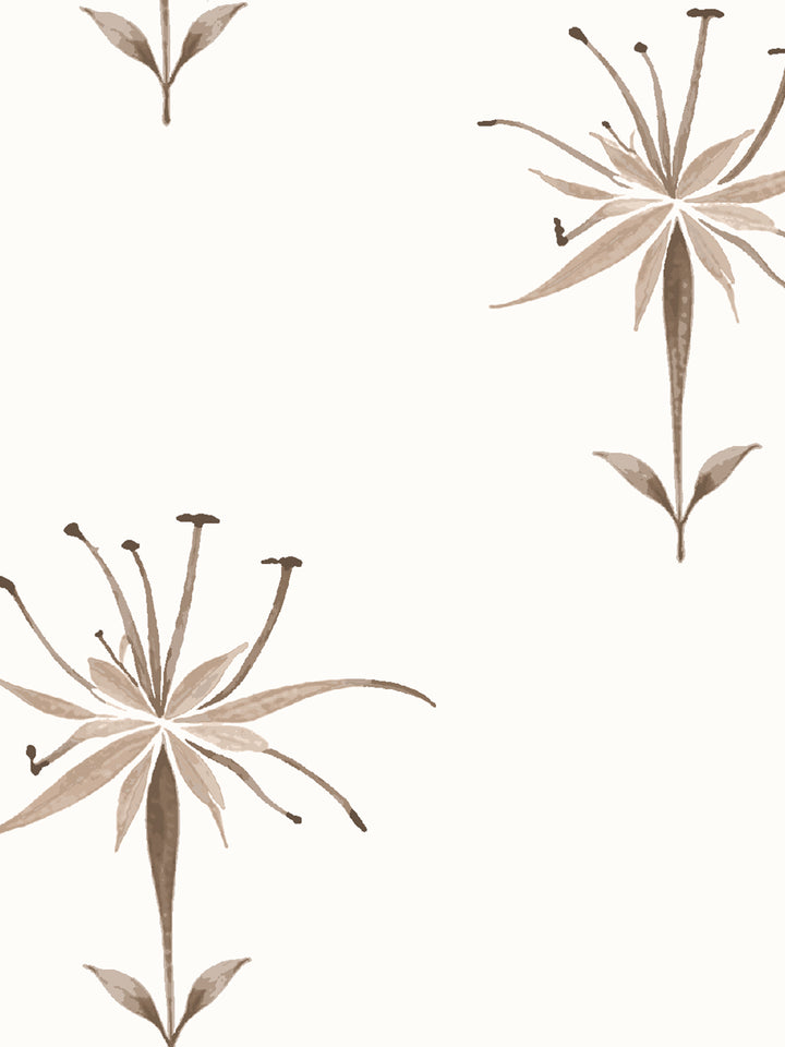 'Spider Lily Macro' Wallpaper by Flint Wood & Hicks - Brown