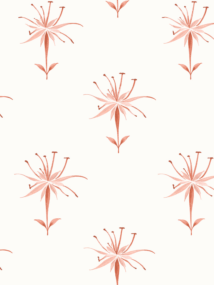 'Spider Lily Macro' Wallpaper by Flint Wood & Hicks - Dark Coral