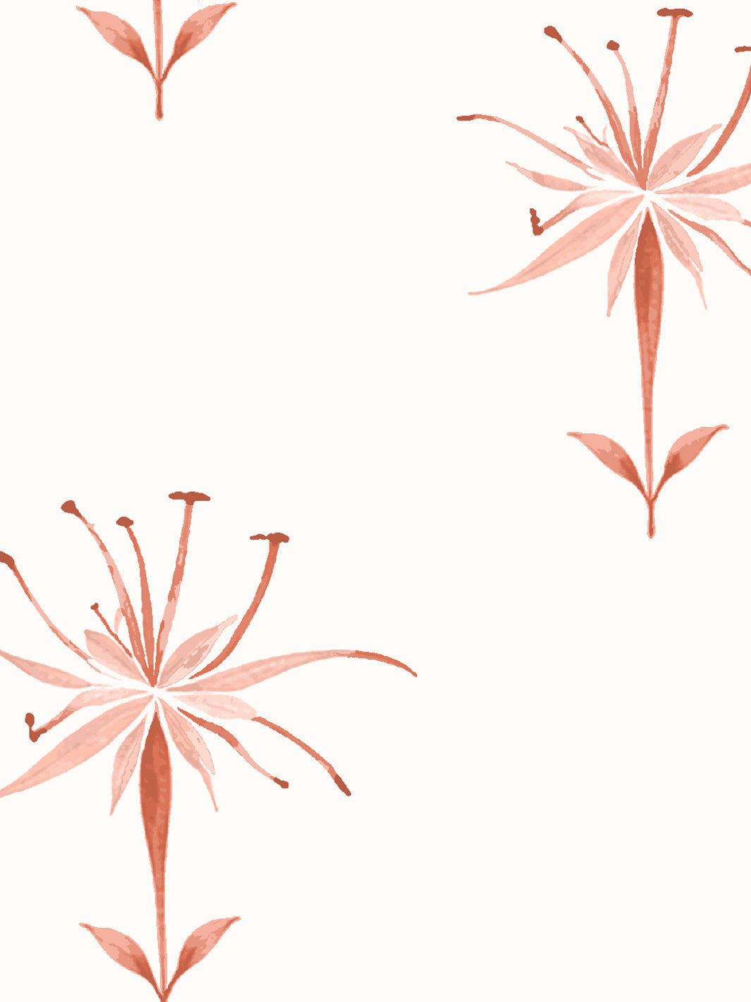 'Spider Lily Macro' Wallpaper by Flint Wood & Hicks - Dark Coral