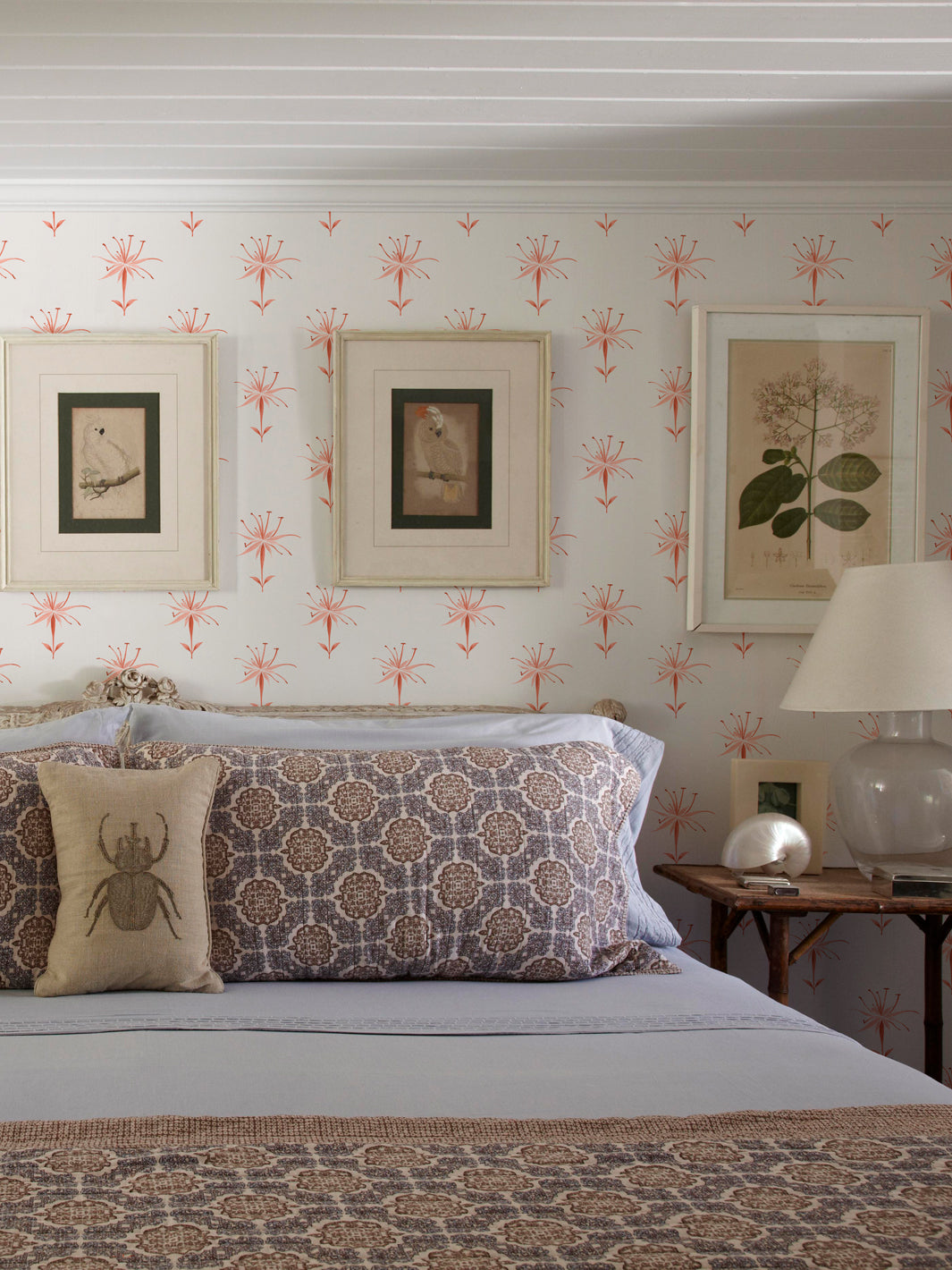 'Spider Lily Macro' Wallpaper by Flint Wood & Hicks - Dark Coral