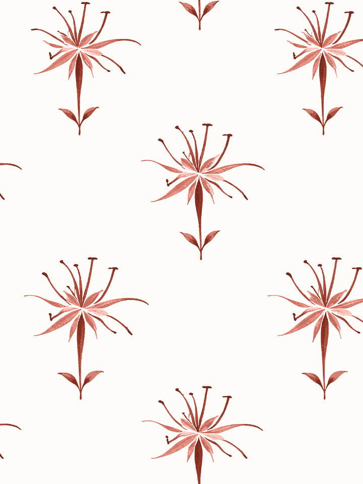 'Spider Lily Macro' Wallpaper by Flint Wood & Hicks - Dark Red