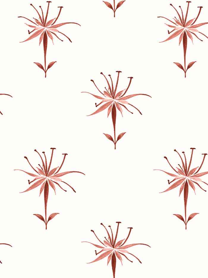 'Spider Lily Macro' Wallpaper by Flint Wood & Hicks - Dark Red