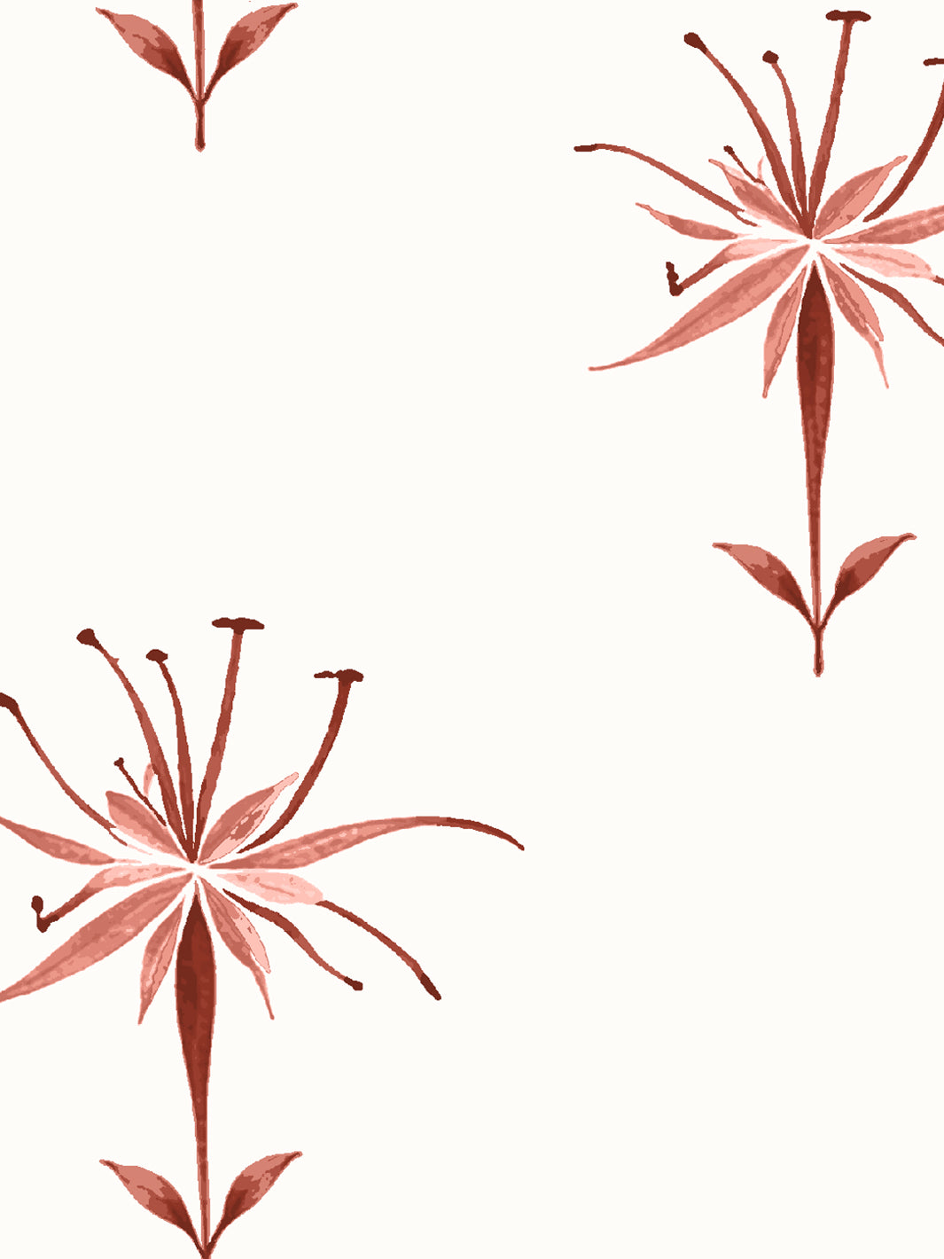 'Spider Lily Macro' Wallpaper by Flint Wood & Hicks - Dark Red
