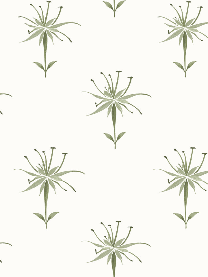 'Spider Lily Macro' Wallpaper by Flint Wood & Hicks - Olive