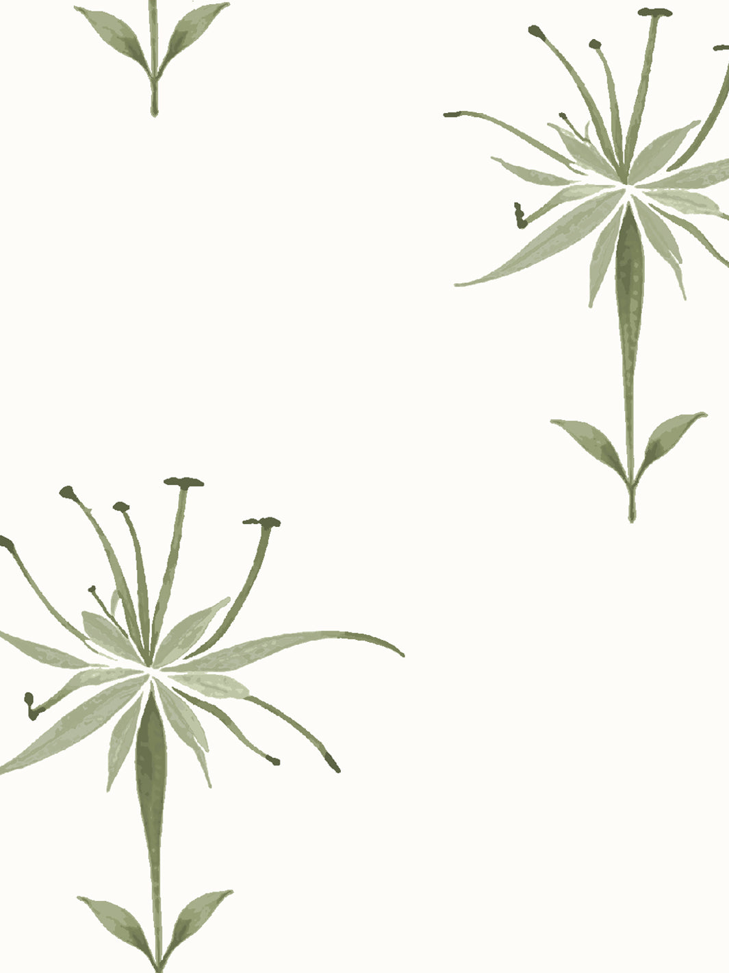 'Spider Lily Macro' Wallpaper by Flint Wood & Hicks - Olive
