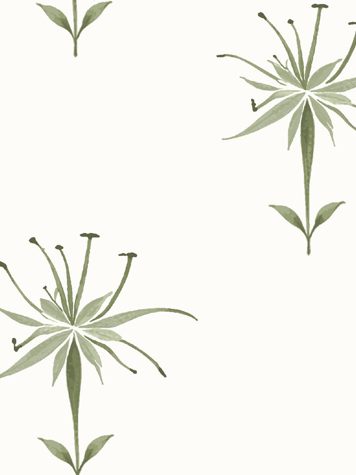 'Spider Lily Macro' Wallpaper by Flint Wood & Hicks - Olive