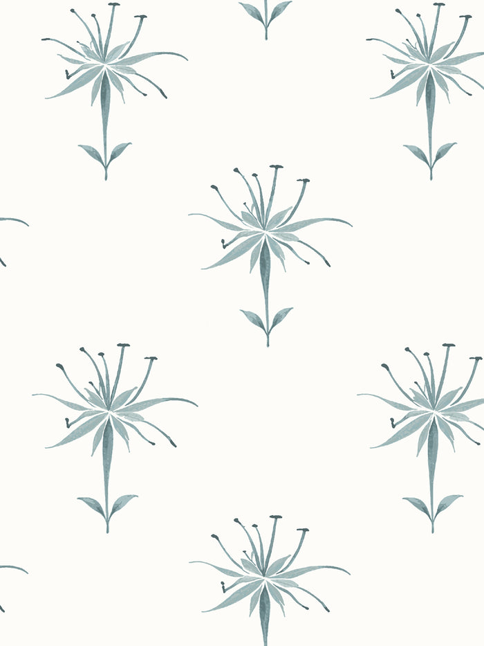 'Spider Lily Macro' Wallpaper by Flint Wood & Hicks - Seafoam