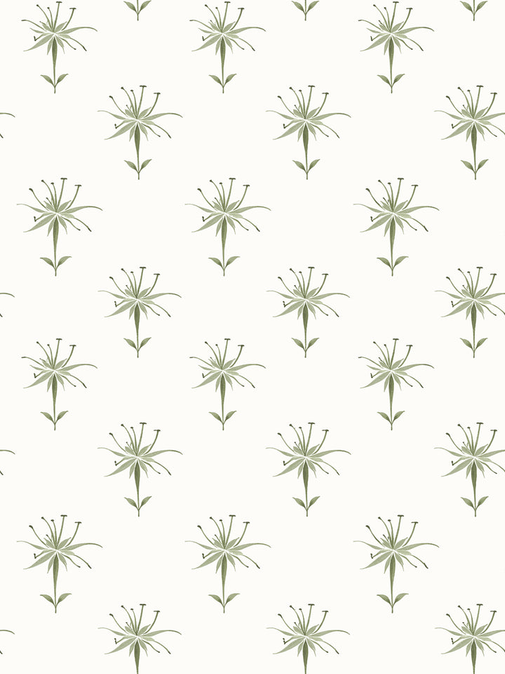 'Spider Lily Micro' Wallpaper by Flint Wood & Hicks - Olive