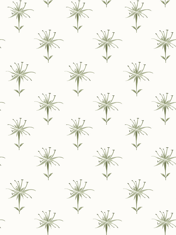 'Spider Lily Micro' Wallpaper by Flint Wood & Hicks - Olive
