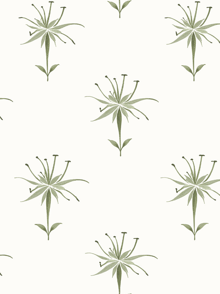 'Spider Lily Micro' Wallpaper by Flint Wood & Hicks - Olive