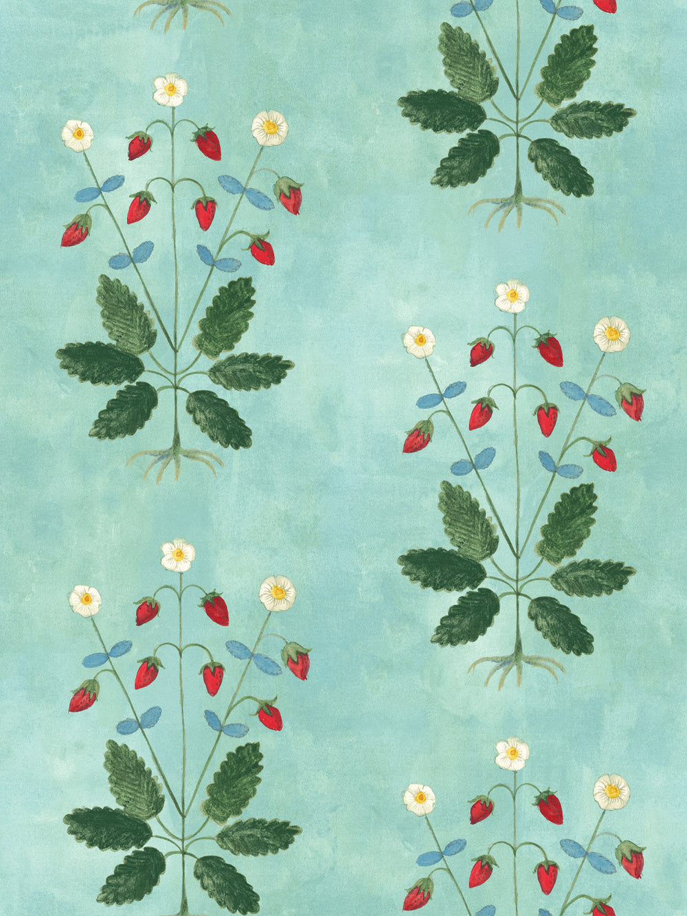 Aqua blue strawberry wallpaper with scattered red berries, white flowers, and green leaves