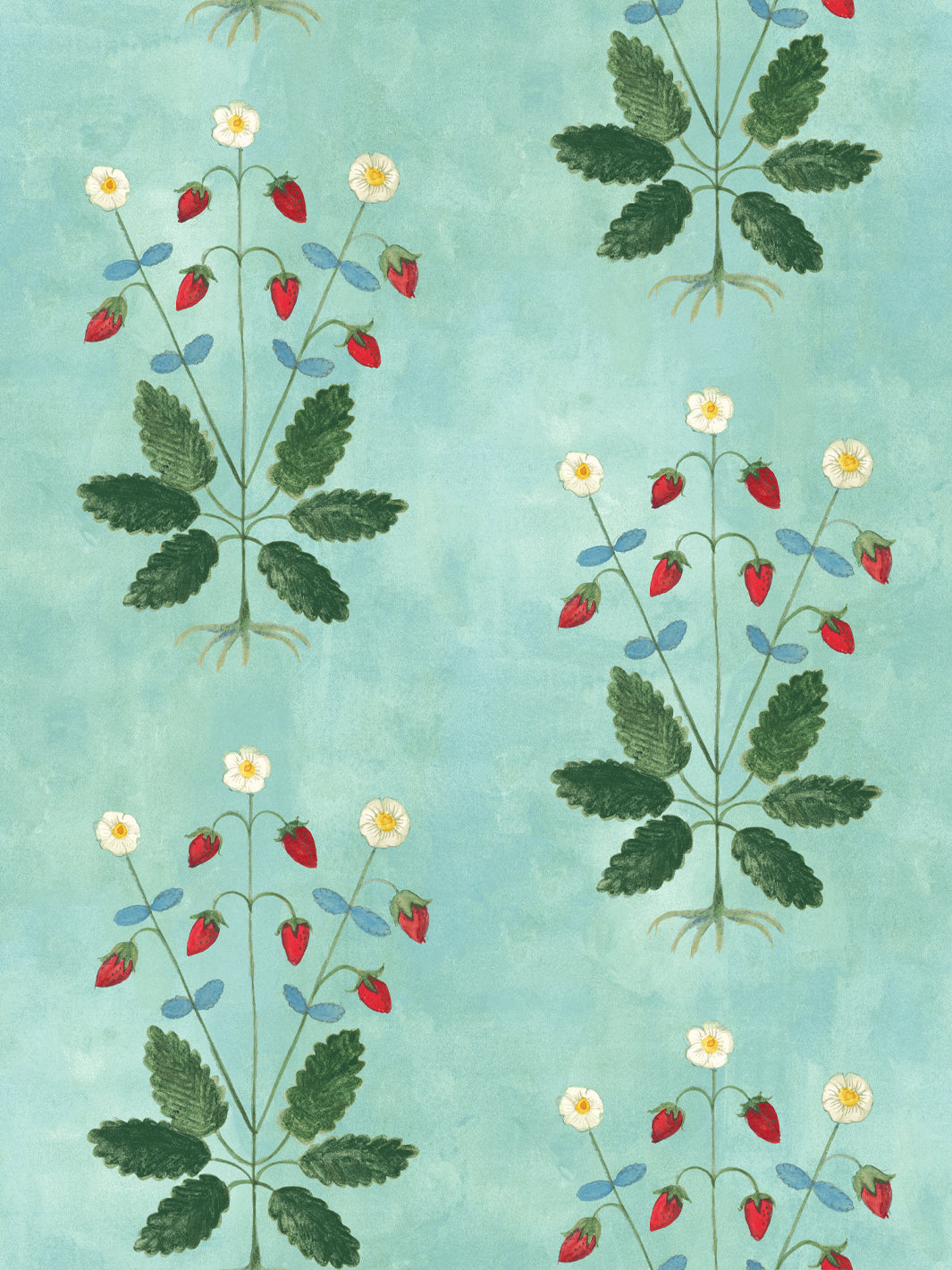 Aqua blue strawberry wallpaper with scattered red berries, white flowers, and green leaves