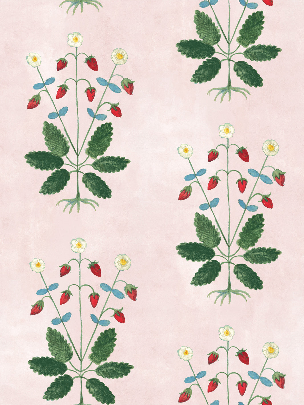 Blush botanical wallpaper with strawberry, daisy, and green leaf vine pattern