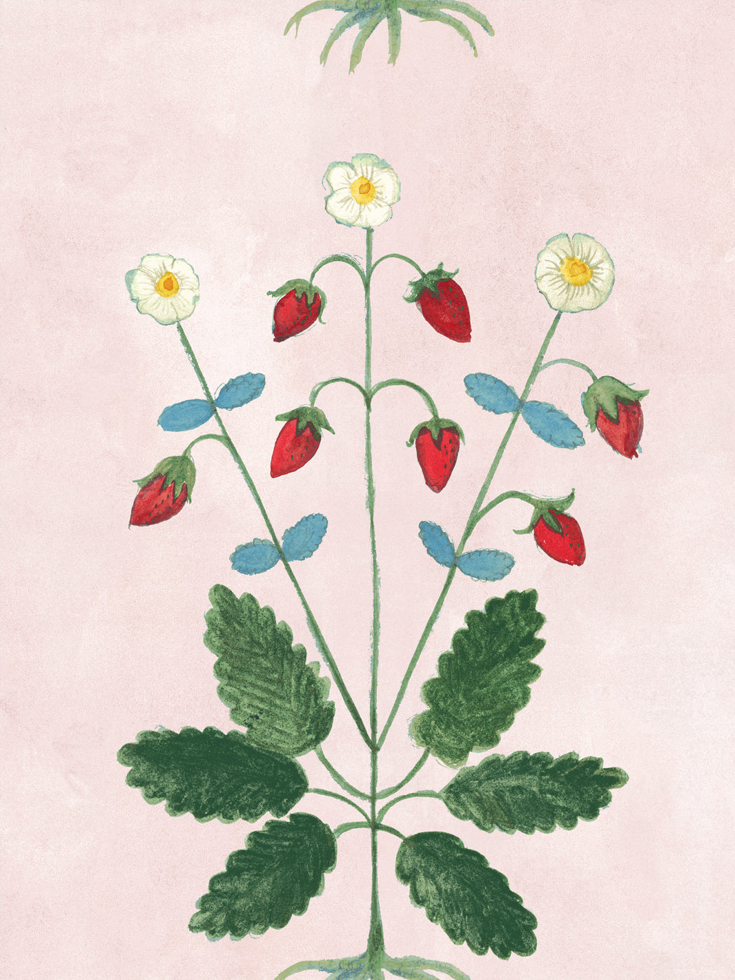 Blush strawberry wallpaper panel with clustered strawberries, daisies, and leaf vines