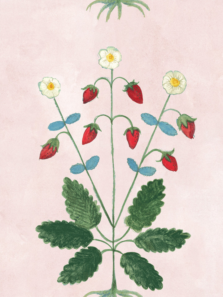 Blush strawberry wallpaper panel with clustered strawberries, daisies, and leaf vines