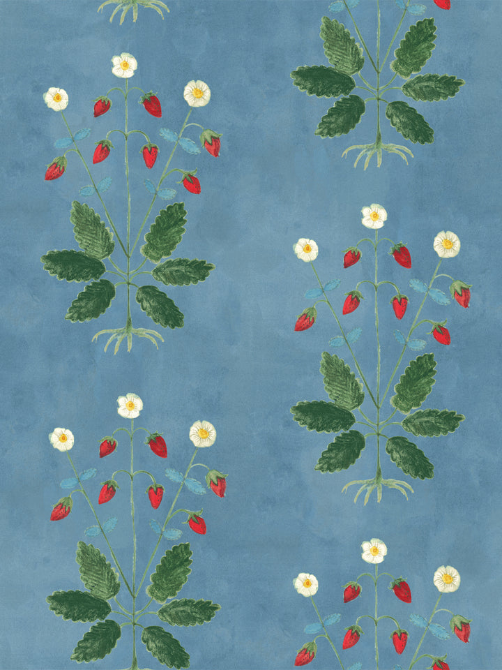 Blue botanical wallpaper with red strawberries, cream blossoms, and green leaves pattern.