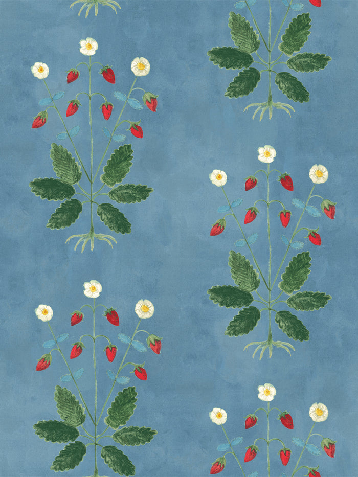 'Strawberries' Wallpaper by Mary Maguire - Cadet
