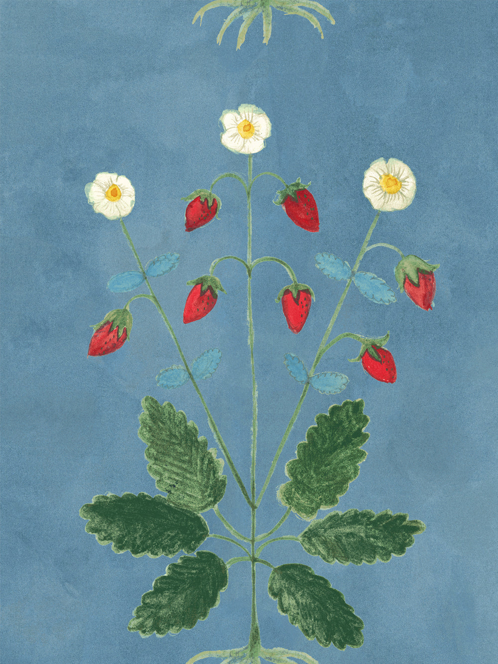 Blue wallpaper with centered stem pattern: red strawberries, cream flowers, green foliage.