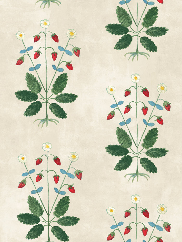 'Strawberries' Wallpaper by Mary Maguire - Parchment