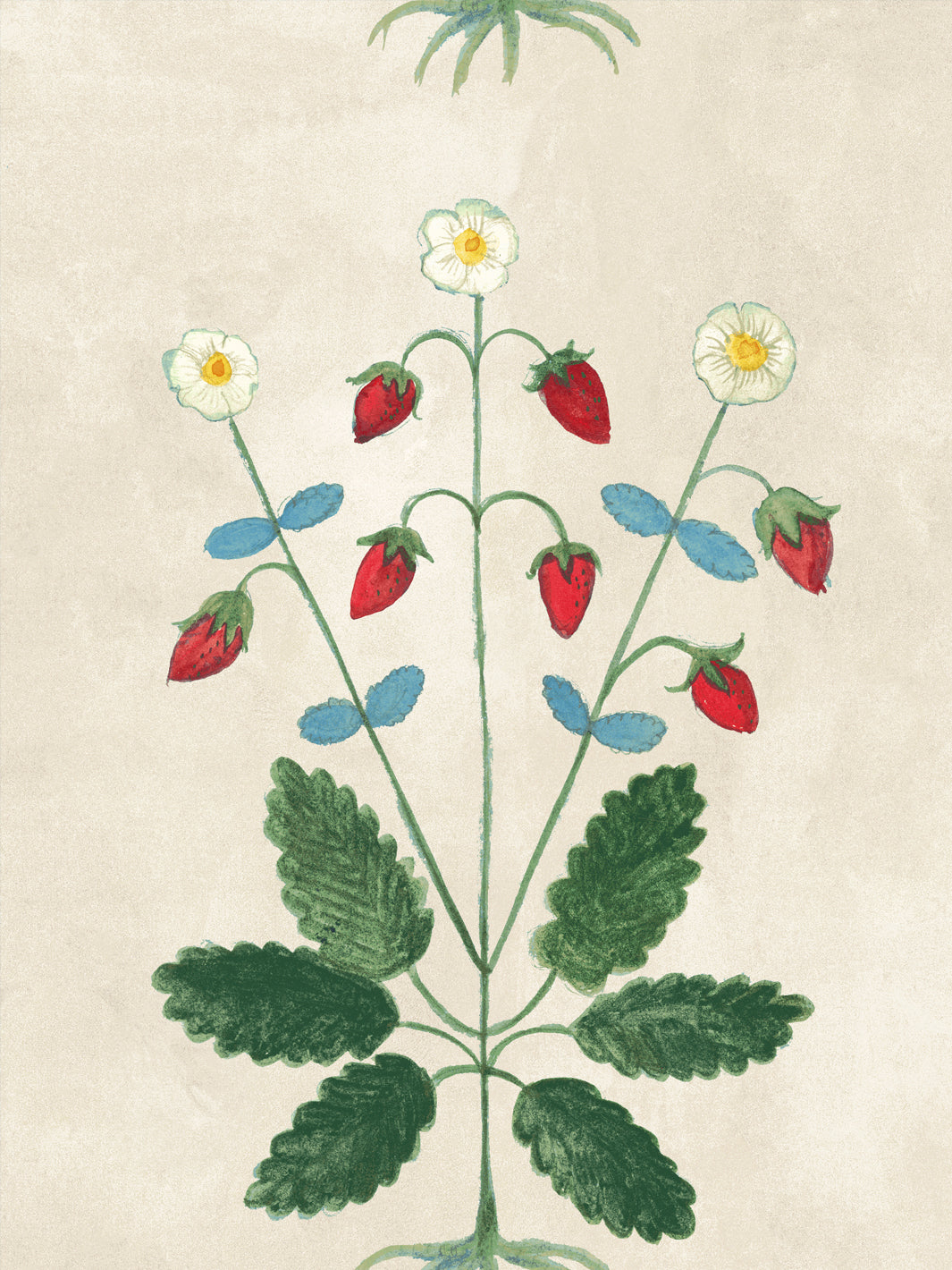 Strawberry and daisy botanical wallpaper with green leaves on light parchment