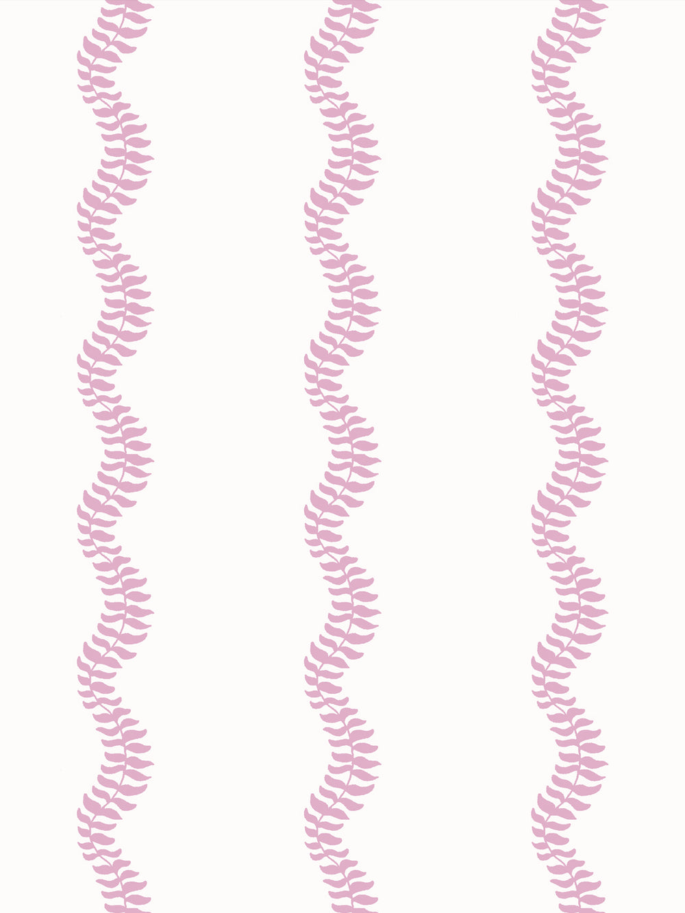 Close crop of soft mid pink leaf stripes on clean off-white
