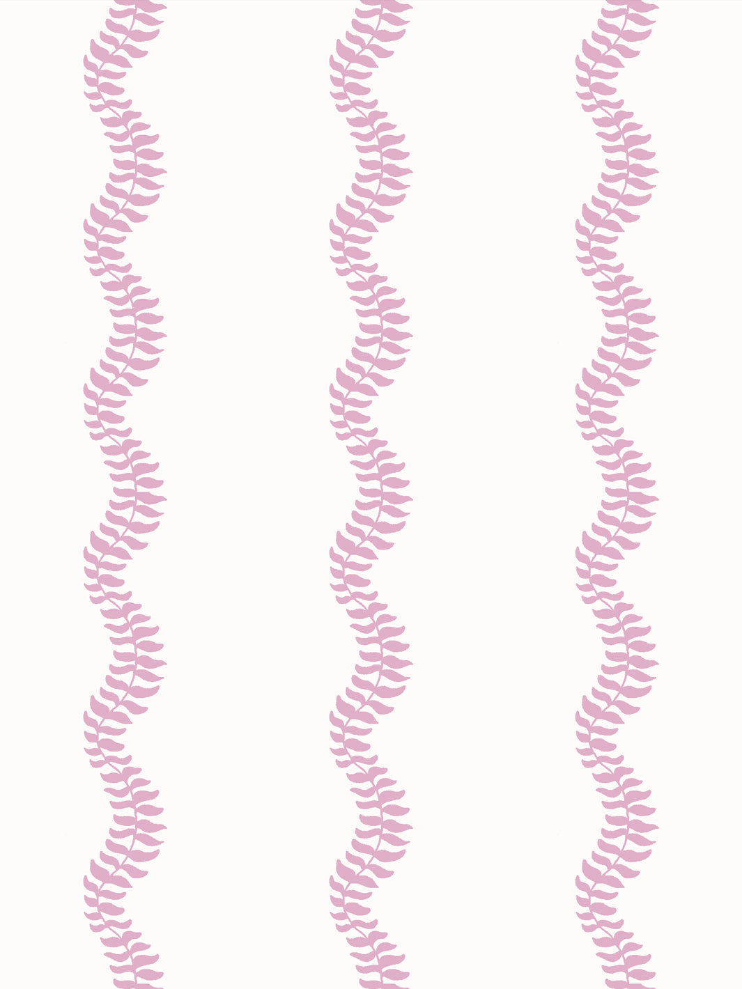 Close crop of soft mid pink leaf stripes on clean off-white
