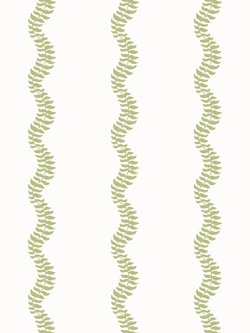 Close crop of soft yellow-green pear leaf stripes on crisp near-white