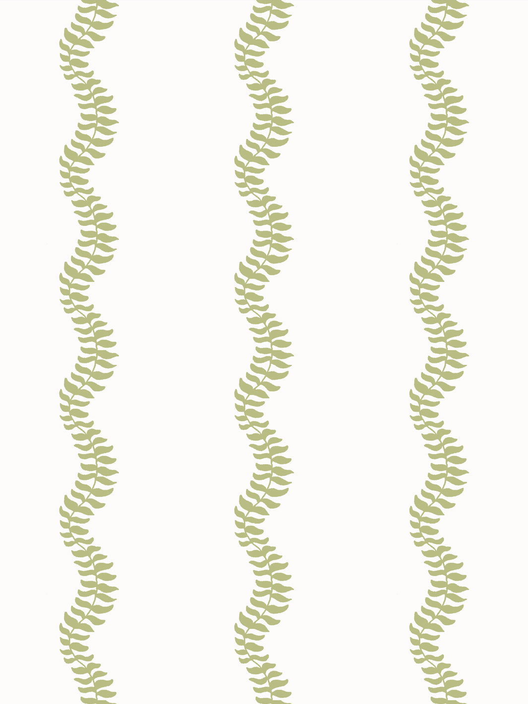Close crop of soft yellow-green pear leaf stripes on crisp near-white