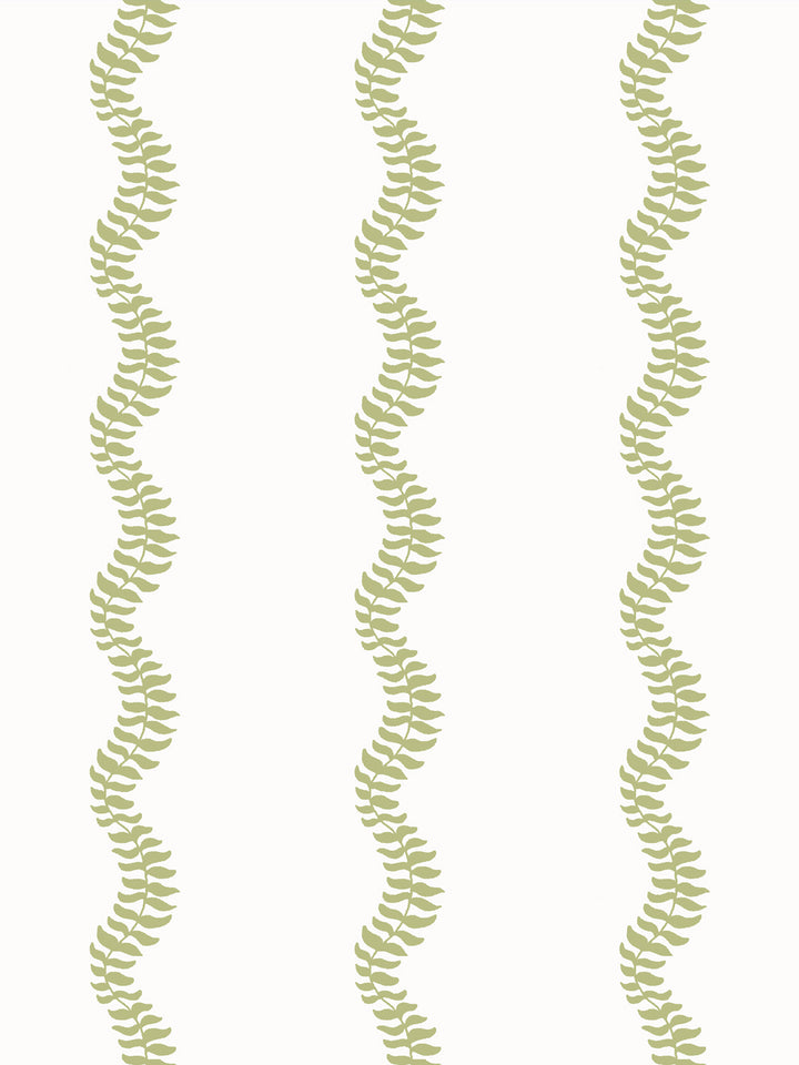Close crop of soft yellow-green pear leaf stripes on crisp near-white