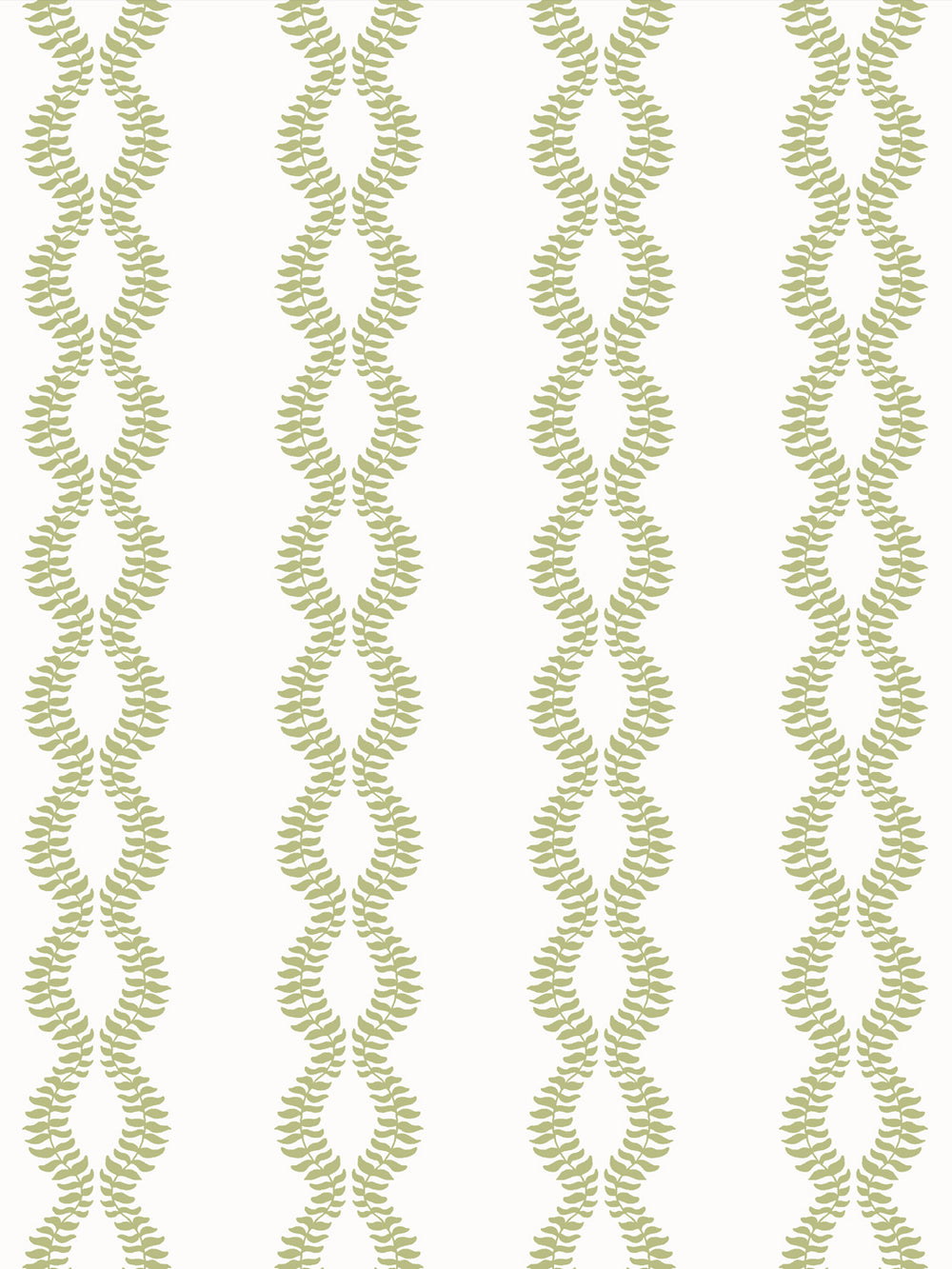 Close crop of light yellow-green leaf vines on bright white