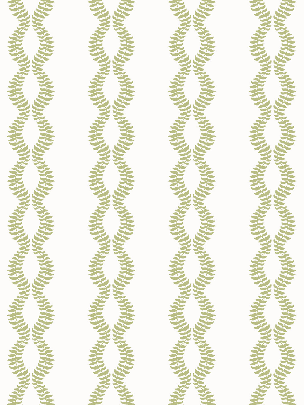 Close crop of light yellow-green leaf vines on bright white
