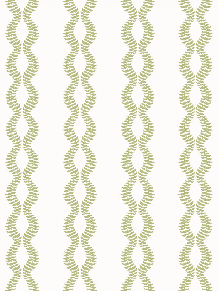 Close crop of light yellow-green leaf vines on bright white