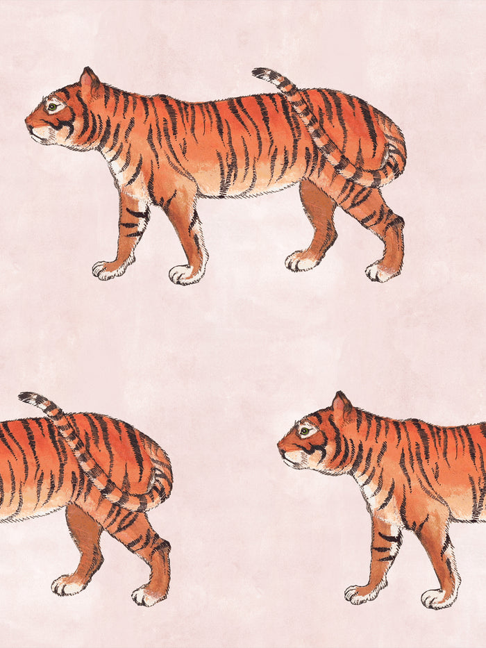 'Tiger' Wallpaper by Mary Maguire - Blush
