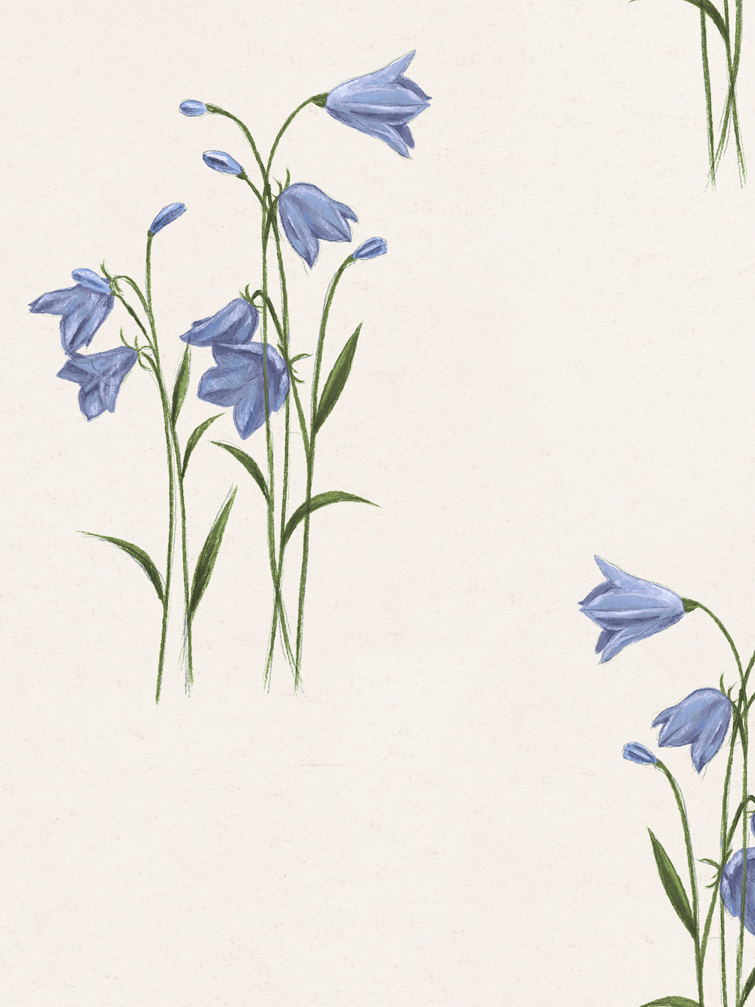 ulrica-wallpaper-by-sarah-jessica-parker-multi