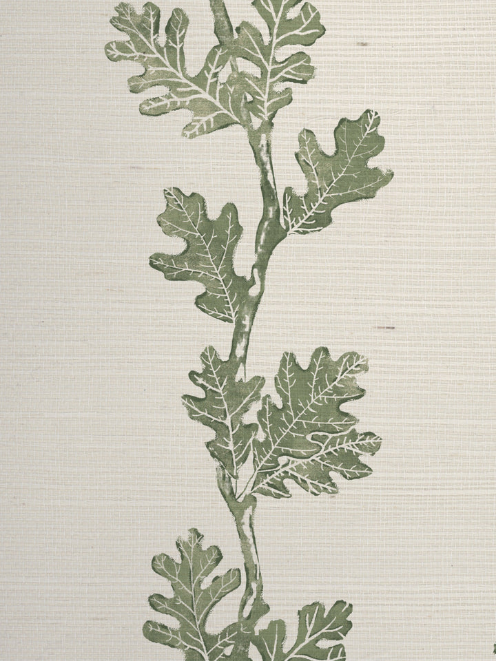 valley oak stripe grasscloth wallpaper by nathan turner green