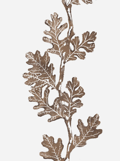 valley oak stripe wallpaper by nathan turner brown
