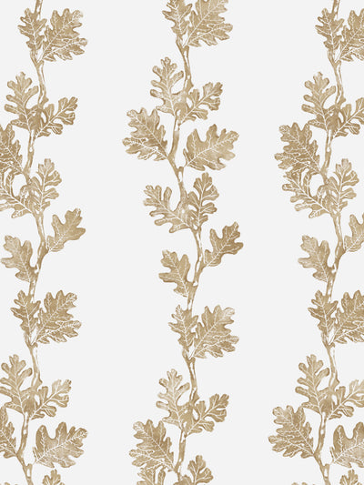 'Valley Oak Stripe' Wallpaper by Nathan Turner - Gold