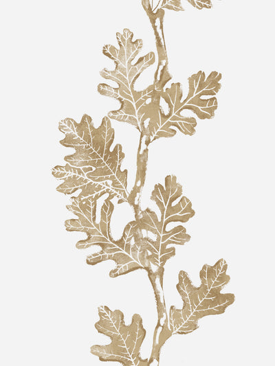 valley oak stripe wallpaper by nathan turner gold
