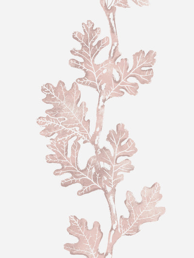 'Valley Oak Stripe' Wallpaper by Nathan Turner - Pink