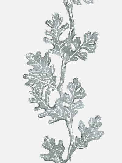 valley-oak-stripe-wallpaper-by-nathan-turner-sage