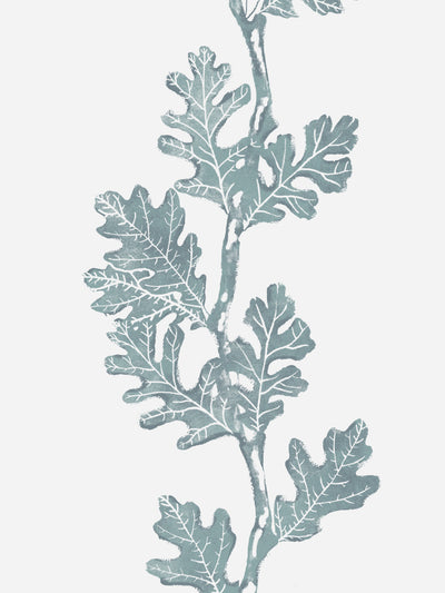 'Valley Oak Stripe' Wallpaper by Nathan Turner - Seafoam