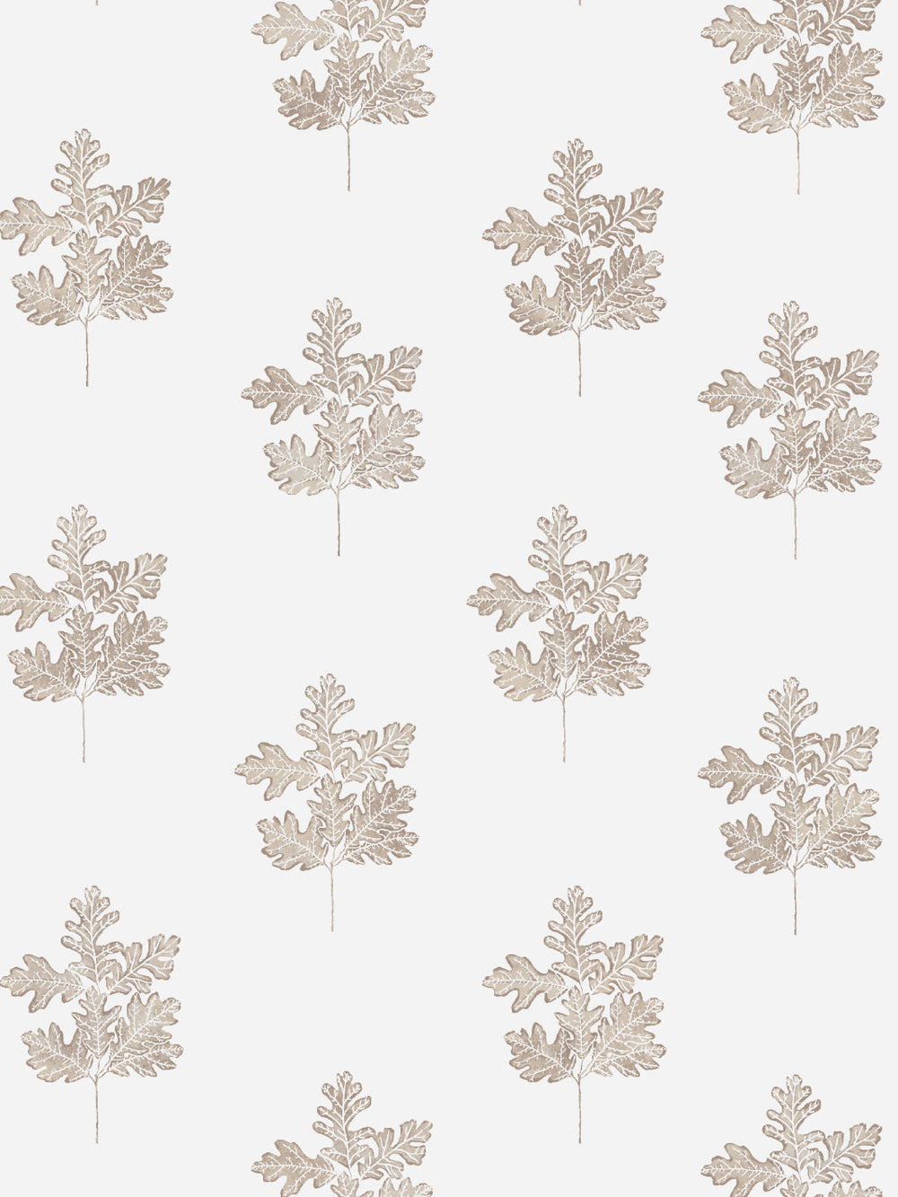 valley-oak-wallpaper-by-nathan-turner-neutral