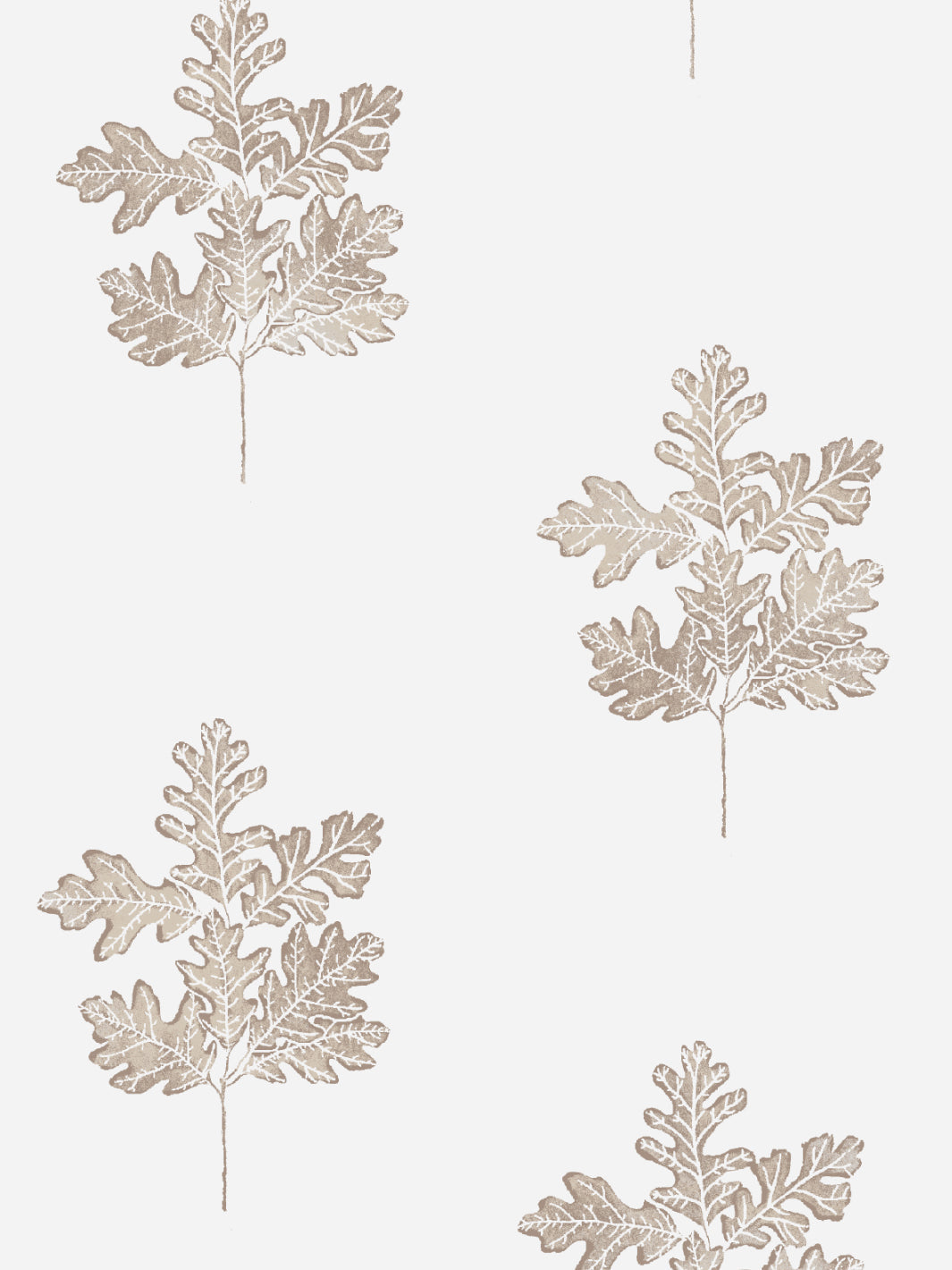 'Valley Oak Leaf' Wallpaper by Nathan Turner - Neutral