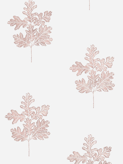 'Valley Oak Leaf' Wallpaper by Nathan Turner - Pink