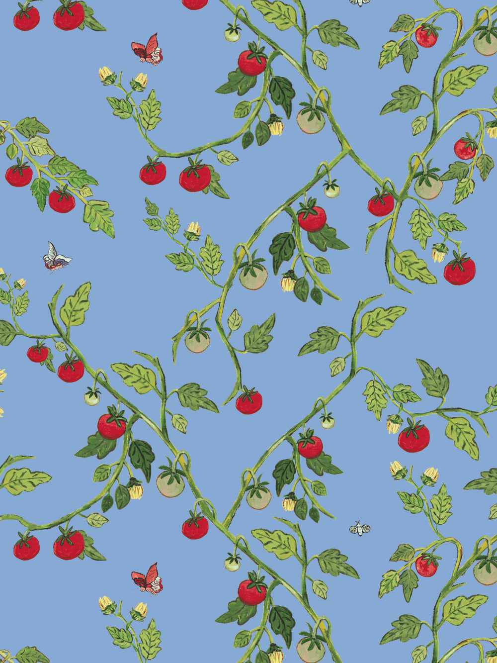vite-di-pomodoro-wallpaper-by-carly-beck-blue