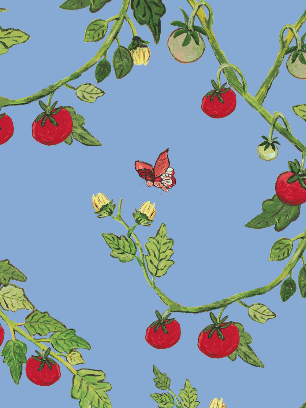 vite-di-pomodoro-wallpaper-by-carly-beck-blue