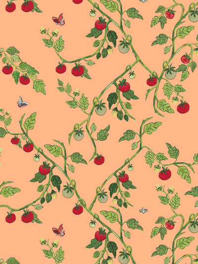 vite di pomodoro wallpaper by carly beck orange