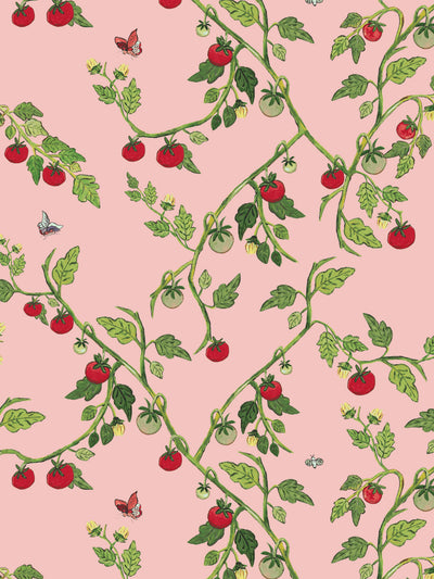 vite di pomodoro wallpaper by carly beck pink